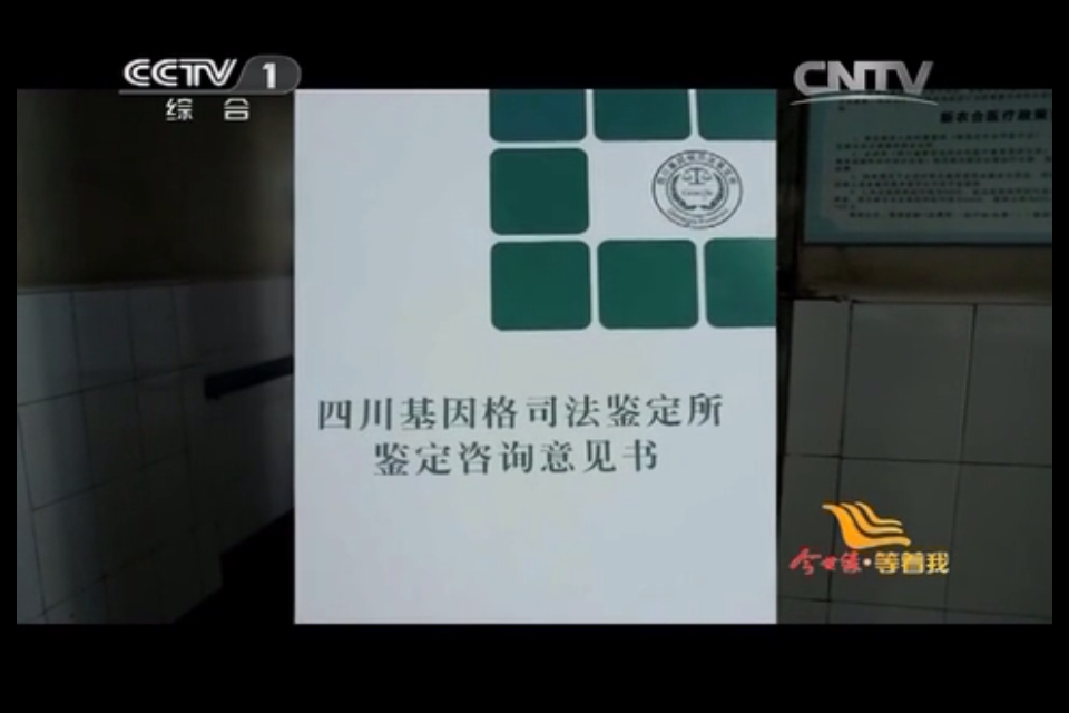 基因格