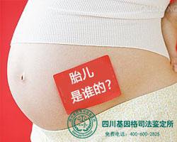 怀孕的时候做亲子鉴定是否有司法功效？